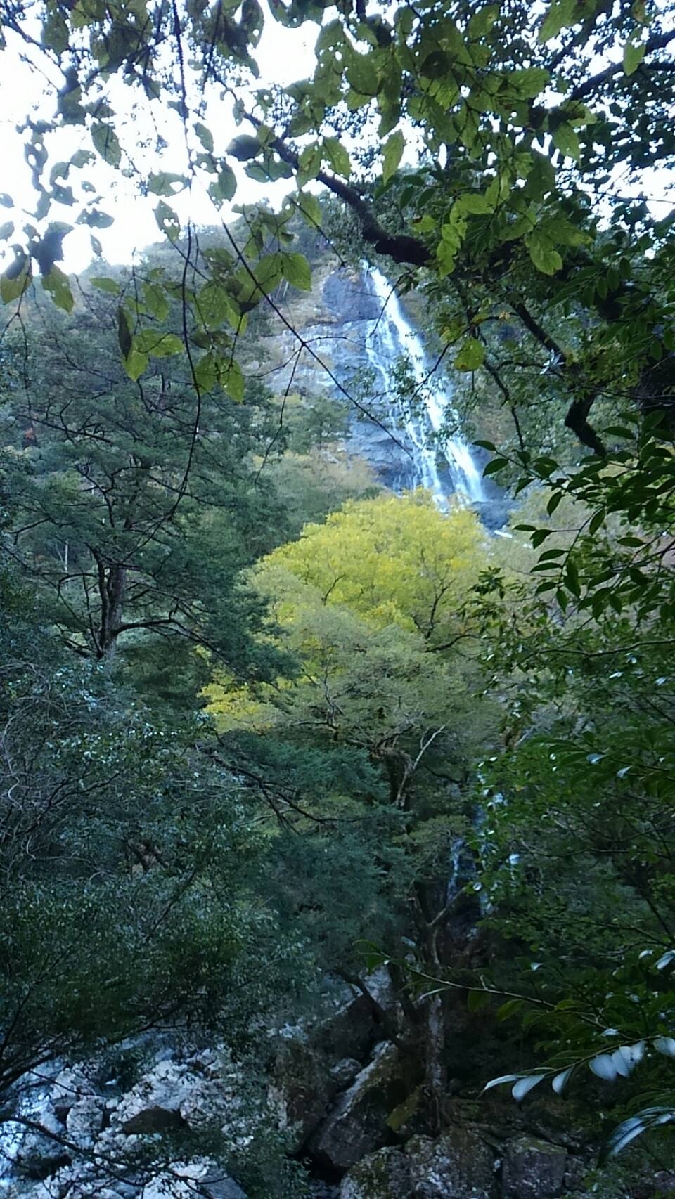 ニコニコ滝 